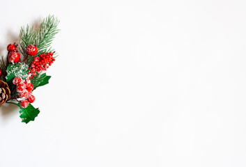 Christmas background, spruce twig with red berries on a white background, copy space
