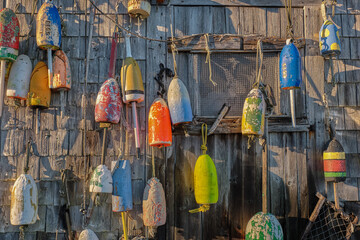 Colorful lobster floats hang on a weathered shack on the Maine Coast in early morning light