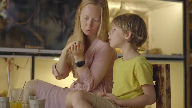 A woman and her little son visit a cafe with exotic animals. Cafe where you can contact with animals. They touch a lizard