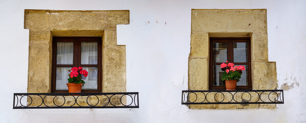 Two windows of an old house with a white wall and flower pots.