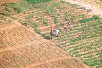 Luanda / Angola 06 10 2021: Aerial view of farmland for traditional agriculture with traditional...