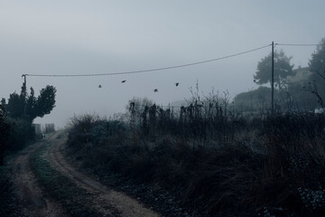 Matarranya, Teruel province. Spain