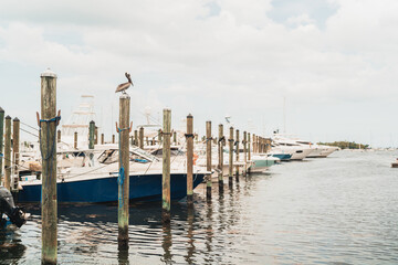 boats in the harbor pier nature summer water sea travel marina coconut grove Miami Florida 