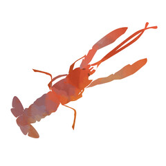 langoustine