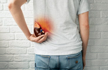 Male suffering from pain with inflammation and renal colic. Kidney diseases in men. Back view
