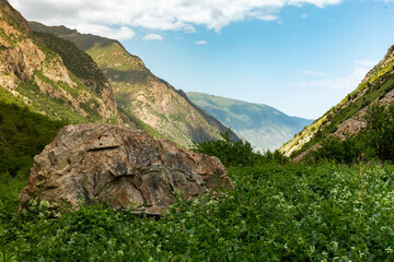 View on the mountain with rock