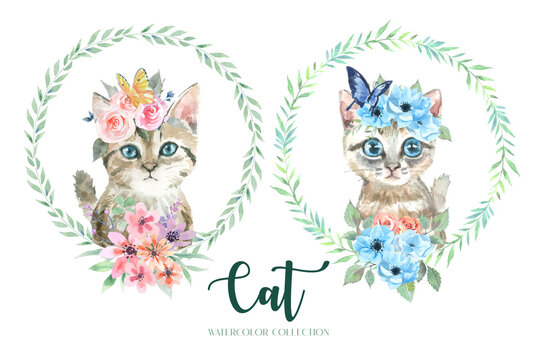 Watercolor collection of cats and bouquets.