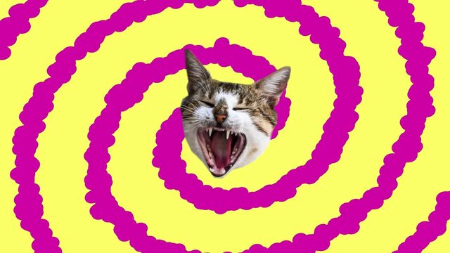 Animation art. Looping graphic animation. The rotating head of a cat in neon tunnel colour space