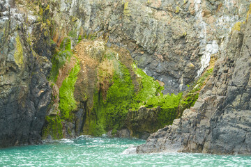 Rocks covered with moss on the sea island coast.