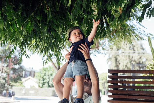 Cute boy touching tree leaves while lifted by father