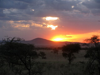 Fototapeta na wymiar sunset in Serengeti National Park Tanzania 