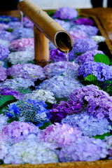 あじさいの花手水