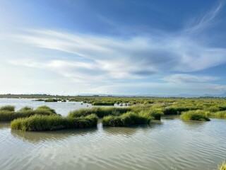 Tranquil landscape of lake water.Nature background. copy space
