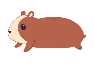 Cute Hamster, Adorable Funny Pet Animal Character Cartoon Vector Illustration