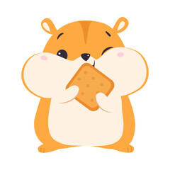 Cute Hamster Eating Cookie, Adorable Funny Pet Animal Character Cartoon Vector Illustration