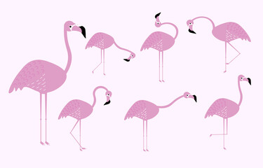 Flamingo collection. Flat design.