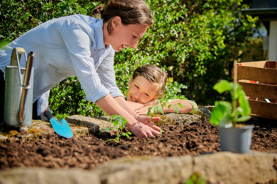 Mother with son planting in garden at back yard