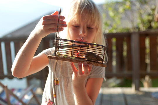Blond girl looking at mouse in cage during sunny day