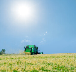 Obraz premium harvester in summer wheat field at the sunny summer day, summer agricultural industry background