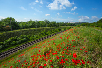 railway among green hills with red poppy on slope