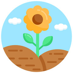 flower 


