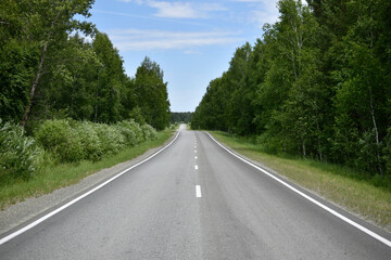 Fototapeta na wymiar High-speed asphalt highway in the forest during the day