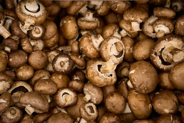 Fresh champignon mushrooms as background, top view. Shrooms champignon background texture.