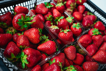 Red Strawberries. Juicy Ripe Strawberries. Summer Berries. The Concept Of Healthy Vegan Food. Close-up, Strawberry Rotation. Isolated Fresh Strawberries. Vegetarian Food. Depth of field
