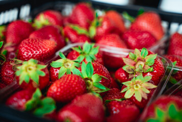 Red Strawberries. Juicy Ripe Strawberries. Summer Berries. The Concept Of Healthy Vegan Food. Close-up, Strawberry Rotation. Isolated Fresh Strawberries. Vegetarian Food. Depth of field