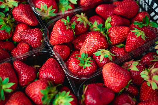Red Strawberries. Juicy Ripe Strawberries. Summer Berries. The Concept Of Healthy Vegan Food. Close-up, Strawberry Rotation. Isolated Fresh Strawberries. Vegetarian Food. Depth of field