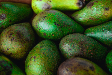 Green ripe avocados. Concept of healthy fruit also useful in cosmetics. Fresh healthy avocado on a table. Stack of avocado in grocery store. Industry of selling products. Spinning. Close up