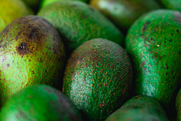 Green ripe avocados. Concept of healthy fruit also useful in cosmetics. Fresh healthy avocado on a table. Stack of avocado in grocery store. Industry of selling products. Spinning. Close up