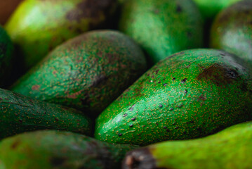 Green ripe avocados. Concept of healthy fruit also useful in cosmetics. Fresh healthy avocado on a table. Stack of avocado in grocery store. Industry of selling products. Spinning. Close up