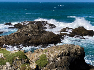 Black Point ocean view at Sea Ranch