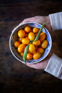 Woman's hands holding bowl of kumquats