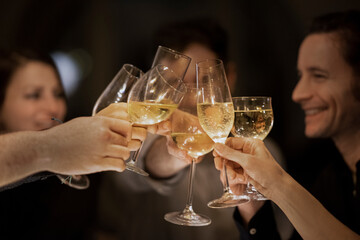 Male and female friends toasting wineglasses during birthday celebration at home