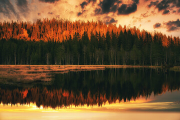 The sky is dramatic in the deep forest of Norway. Shot outside Oslo, Nordmarka. Triungsvanna.