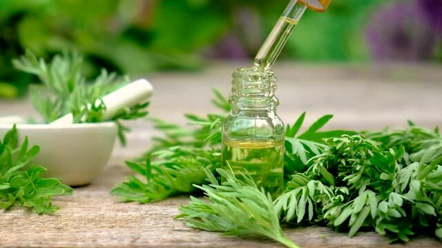 Wormwood extract in a small bottle. Selective focus.