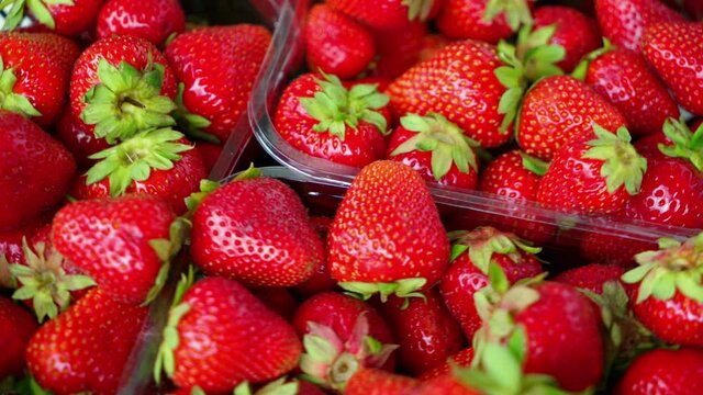 Red Strawberries. Juicy Ripe Strawberries. Summer Berries. The Concept Of Healthy Vegan Food. Close-up, Strawberry Rotation. Isolated Fresh Strawberries. Vegetarian Food. Depth of field. UHD, 4K