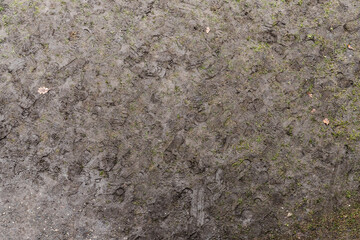 Brown road dirt with footprints. Top view. Texture