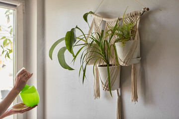 Beautiful woman holding spray bottle near plants. A young Woman looking after houseplant. Indoor plants in macrame plant hanger hang on the wall.
