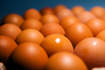A cassette of brown chicken eggs on a natural substrate, top view. Food background. Eggs in the cassette box