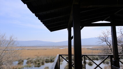 A wooden house made for bird watching in Karacabey floodplain and forest with magnificent blue sky background