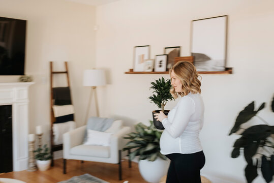 Pregnant woman walking with potted plant in living room at home