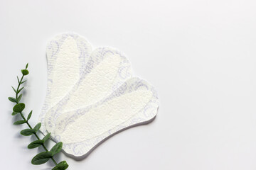 Feminine hygiene panty liner for menstruation. Menstrual cycle, pad. White background.