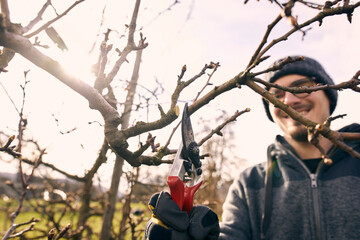 Smiling male farmer with pruning shears cutting bare tree branch