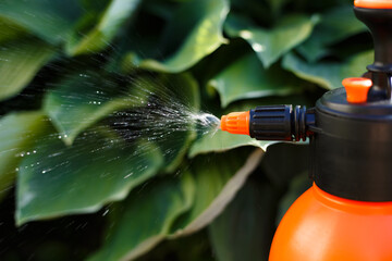 Close-up manual compression sprayer. Spraying water in the garden