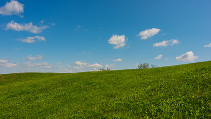 Fototapeta na wymiar Grassy meadow on a hillside against a background of blue sky and clouds.