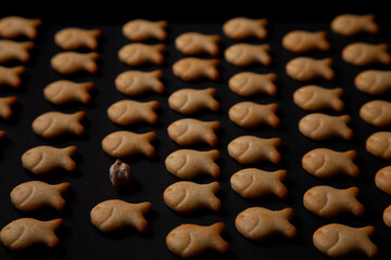 Galletas saladas con forma de peces en distintas posiciones