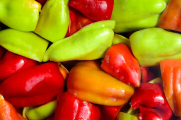 Lots of ripe red, green and yellow peppers in wather close up. Concept harvest, market, healthy food, growing natural vegetables. Background.